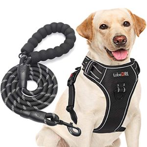 tobeDRI No Pull Dog Harness Adjustable Reflective Oxford Easy Control Medium Large Dog Harness with A Free Heavy Duty 5ft Dog Leash (L (Neck: 18″-25.5″, Chest: 24.5″-33″), Black Harness+Leash)