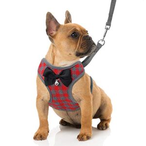 RYPET Small Dog Harness and Leash Set – No Pull Pet Harness with Soft Mesh Nylon Vest for Small Dogs and Cats Red S